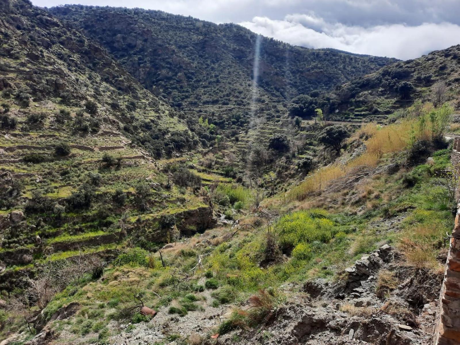Casa Rural Serrano Abrucena المظهر الخارجي الصورة