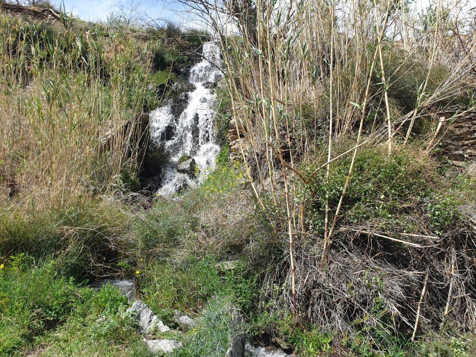 Casa Rural Serrano Abrucena المظهر الخارجي الصورة